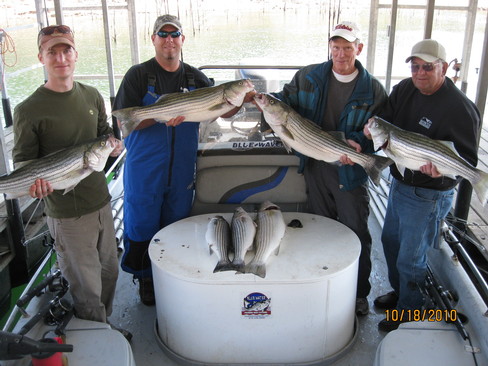 Nice Striped Bass