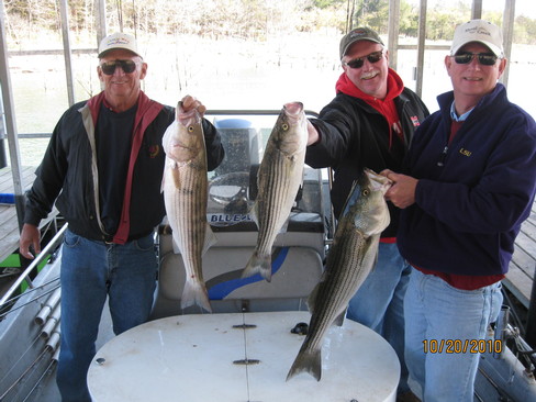 Nice Striped Bass