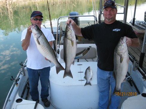 Nice Striped Bass