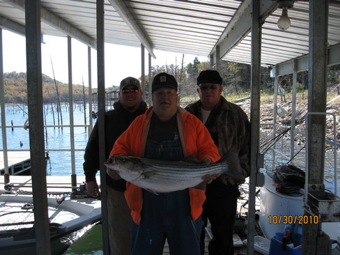 Nice Striped Bass