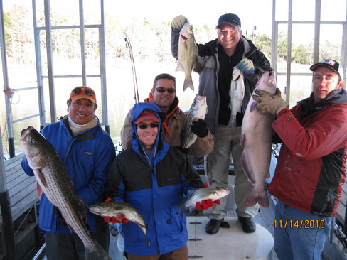 Nice Striped Bass