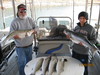 (11/20/2010) - Nice Striped Bass