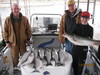 (11/21/2010) - Nice Striped Bass