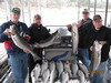 (11/22/2010) - Nice Striped Bass