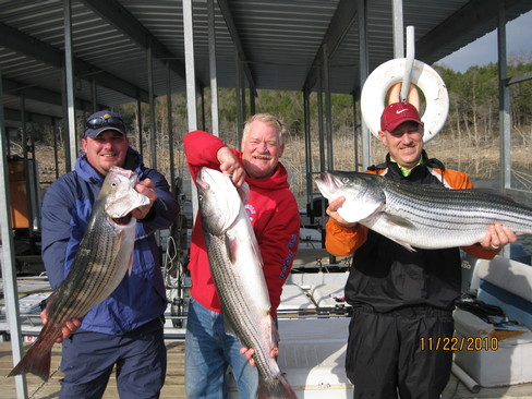 Nice Striped Bass