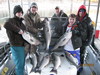 (11/27/2010) - Nice Striped Bass