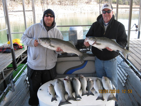 Nice Striped Bass