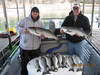 (12/01/2010) - Nice Striped Bass