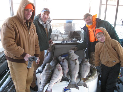 Nice Striped Bass