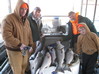 (12/06/2010) - Nice Striped Bass
