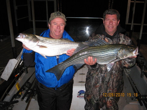 Nice Striped Bass