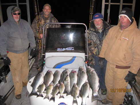 Nice Striped Bass