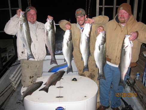 Nice Striped Bass