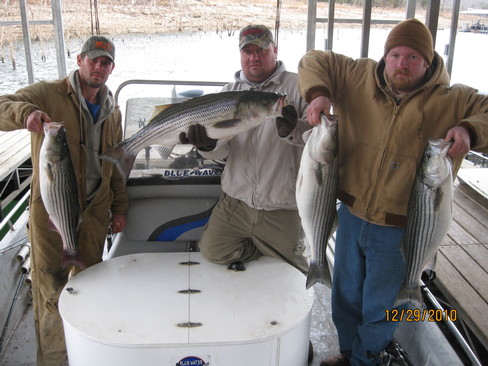 Nice Striped Bass