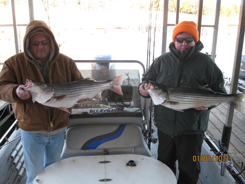 Nice Striped Bass