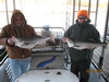 (01/07/2011) - Nice Striped Bass