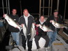 (03/23/2011) - Nice Striped Bass