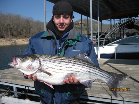 Nice Striped Bass