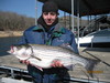 (03/24/2011) - Nice Striped Bass