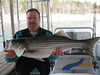 (03/25/2011) - Nice Striped Bass