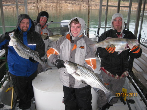 Nice Striped Bass