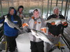 (03/26/2011) - Nice Striped Bass