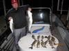 (04/05/2011) - Nice Striped Bass