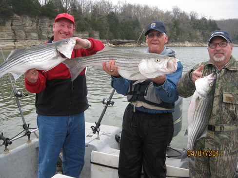 Nice Striped Bass