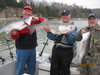 (04/07/2011) - Nice Striped Bass