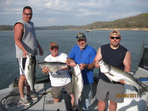 Nice Striped Bass