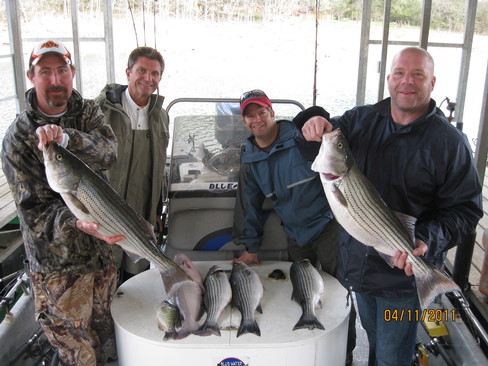 Nice Striped Bass