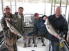 (04/11/2011) - Nice Striped Bass