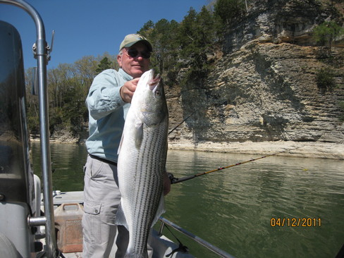 Nice Striped Bass