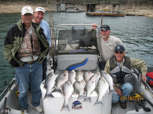 Nice Striped Bass