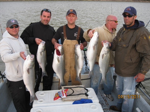 Nice Striped Bass