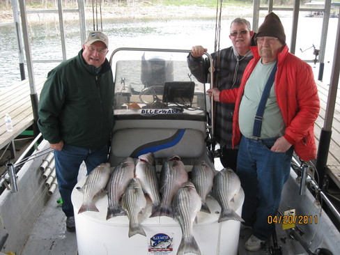 Nice Striped Bass