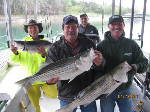 Nice Striped Bass