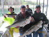 (04/23/2011) - Nice Striped Bass