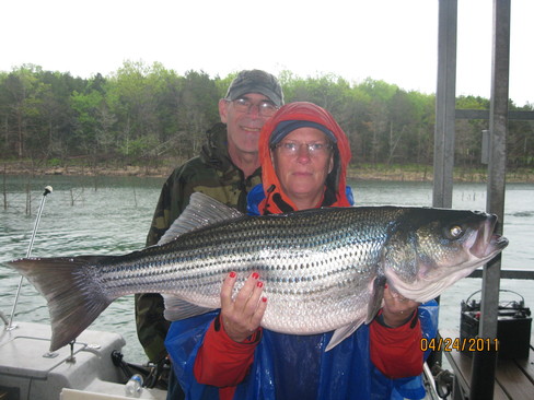 Nice Striped Bass