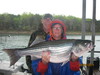 (04/24/2011) - Nice Striped Bass