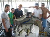 (05/08/2011) - Nice Striped Bass