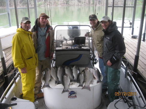 Nice Striped Bass