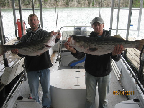 Nice Striped Bass