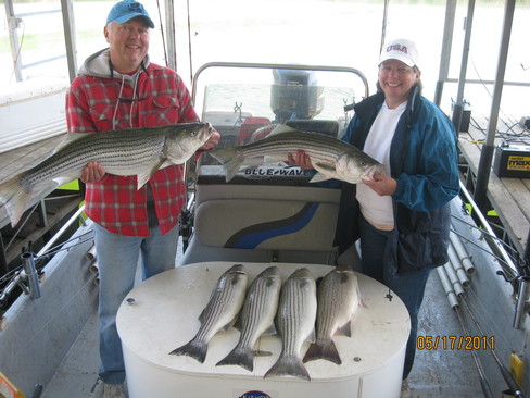 Nice Striped Bass