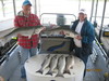 (05/17/2011) - Nice Striped Bass