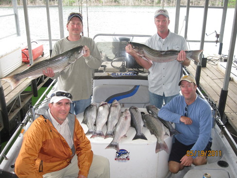 Nice Striped Bass