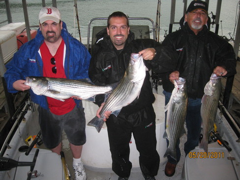 Nice Striped Bass