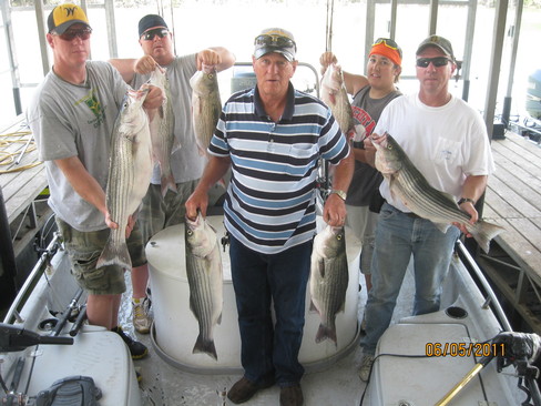 Nice Striped Bass