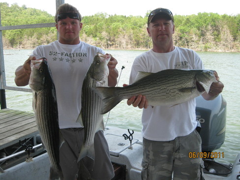 Nice Striped Bass