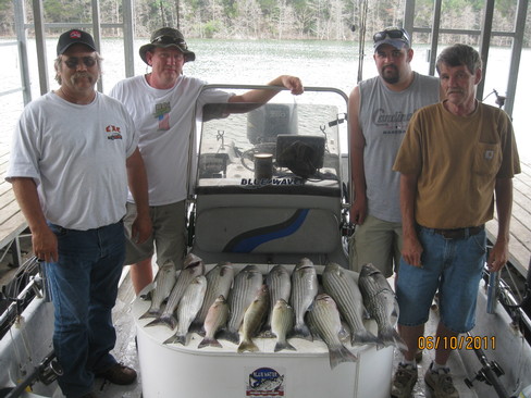 Nice Striped Bass